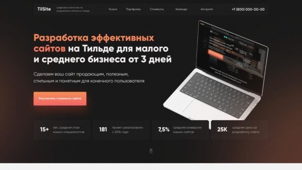 Готовый сайт веб-студии на Tilda