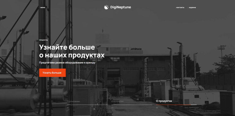 Имиджевый промо-сайт с корзиной товаров DIGINEPTUNE